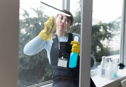 Nettoyage de vitres intérieures et extérieures à Médan